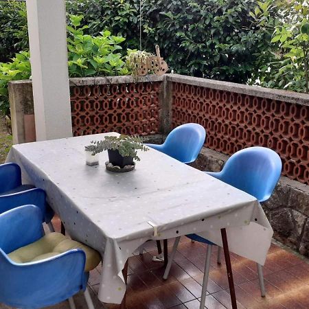 Apartments Villa Anton 波雷奇 外观 照片
